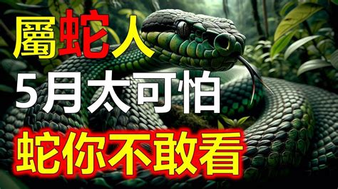 屬蛇個性|【屬蛇個性】揭密屬蛇人靈動的內心世界，2024蛇年運勢解析！